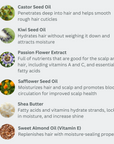 EVOLVh Curls Discovery Kit