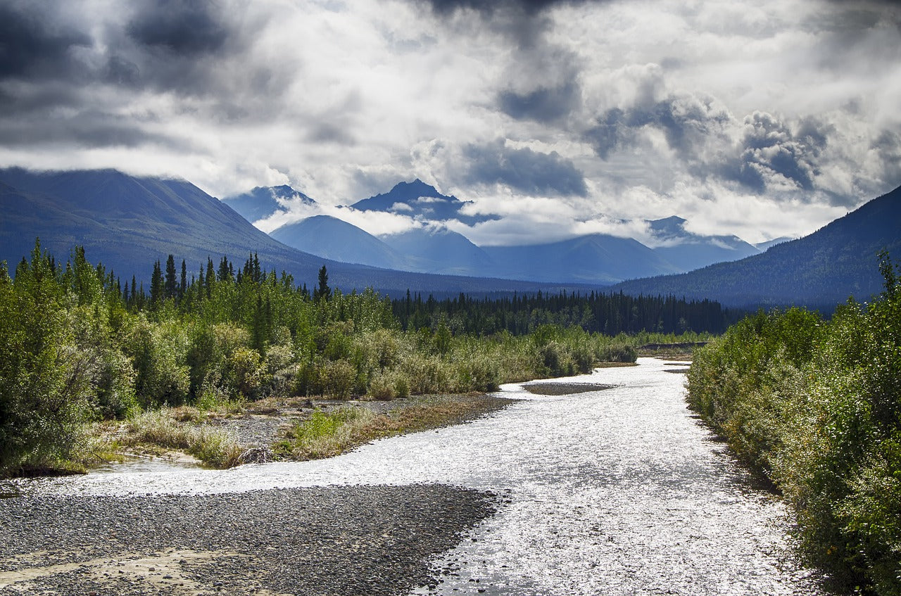 The Curly Canadian Road Trip: Product Suggestions for the Northern Territories