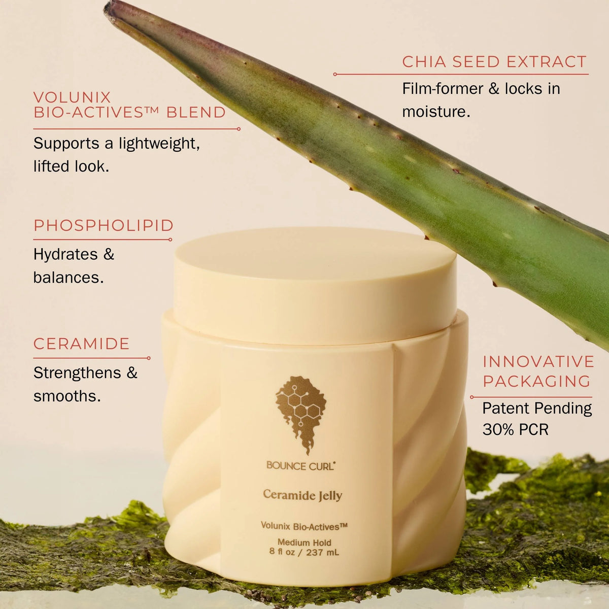 Ceramide Jelly