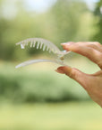 Flat Clip