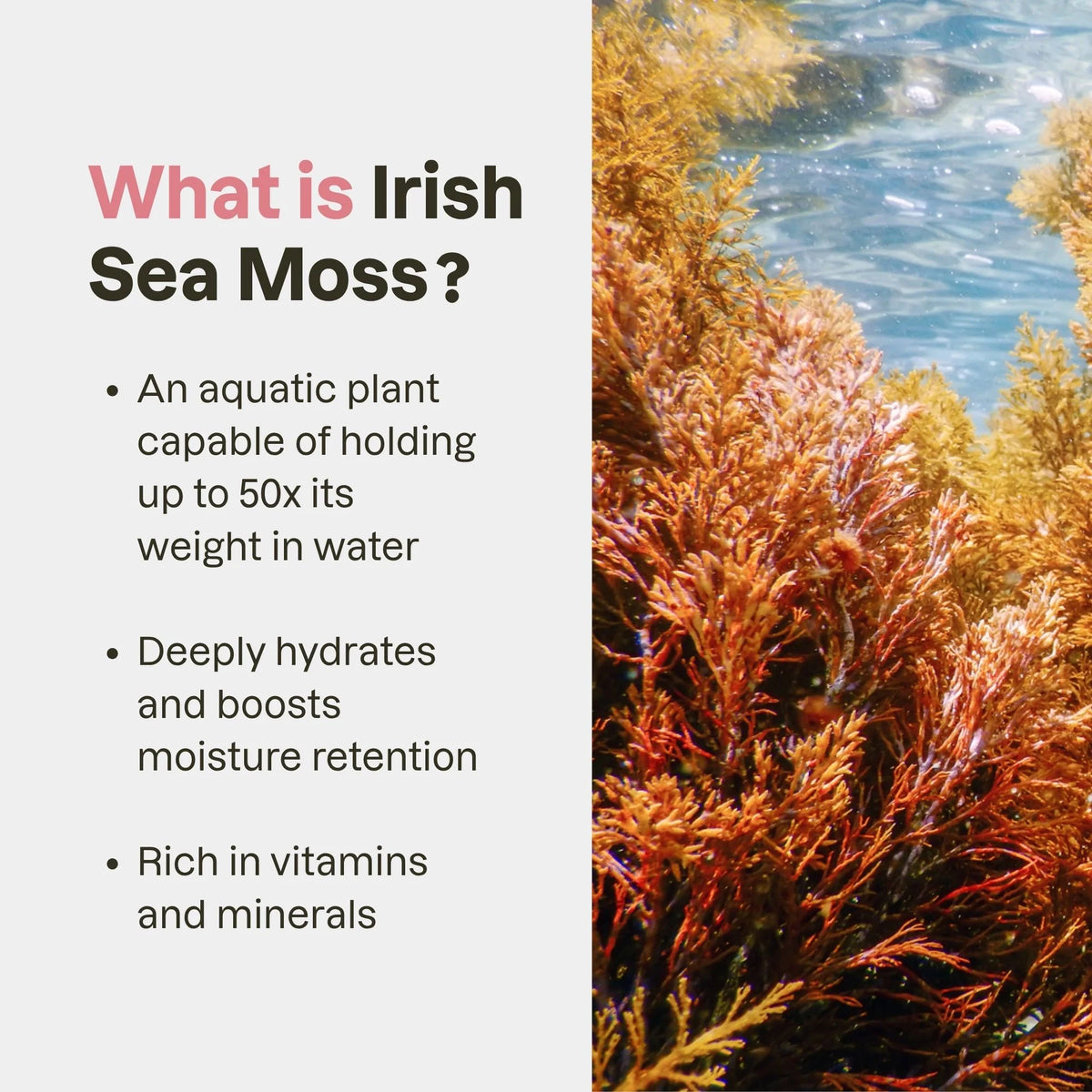 Love Ur Curls Irish Sea Moss Gel