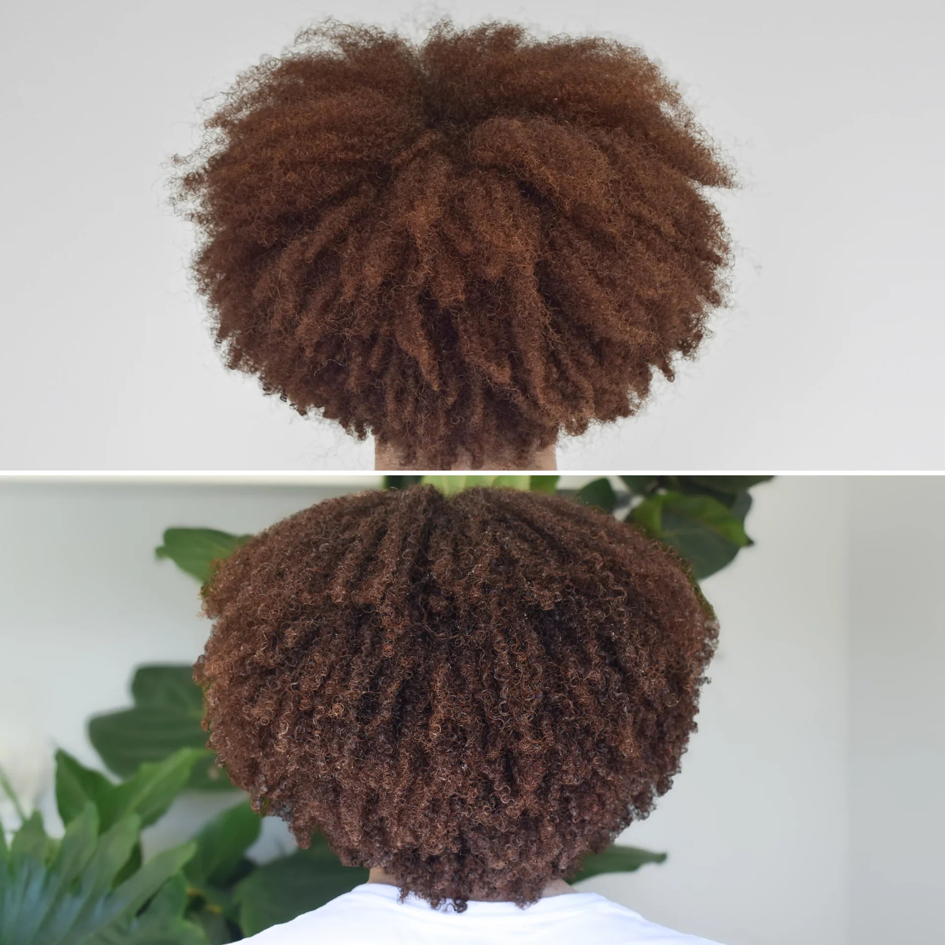 Curl Basics Conditioner